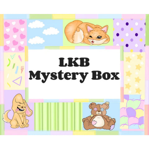 New Accessories Mystery Bag (Boy Box) Over $50 in Value